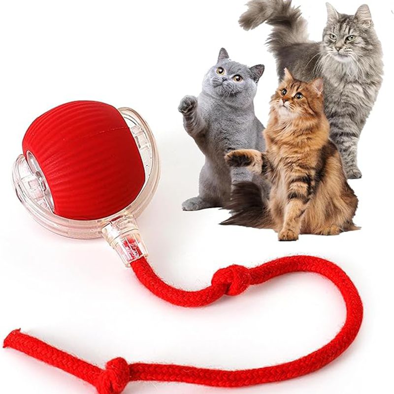 Smart Interactive Rolling Ball for Cats & Dogs