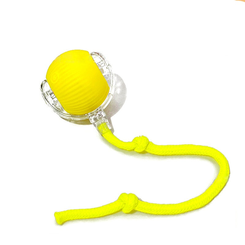 Smart Interactive Rolling Ball for Cats & Dogs