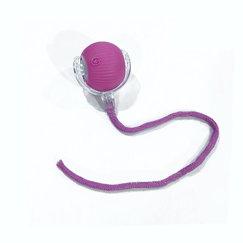 Smart Interactive Rolling Ball for Cats & Dogs