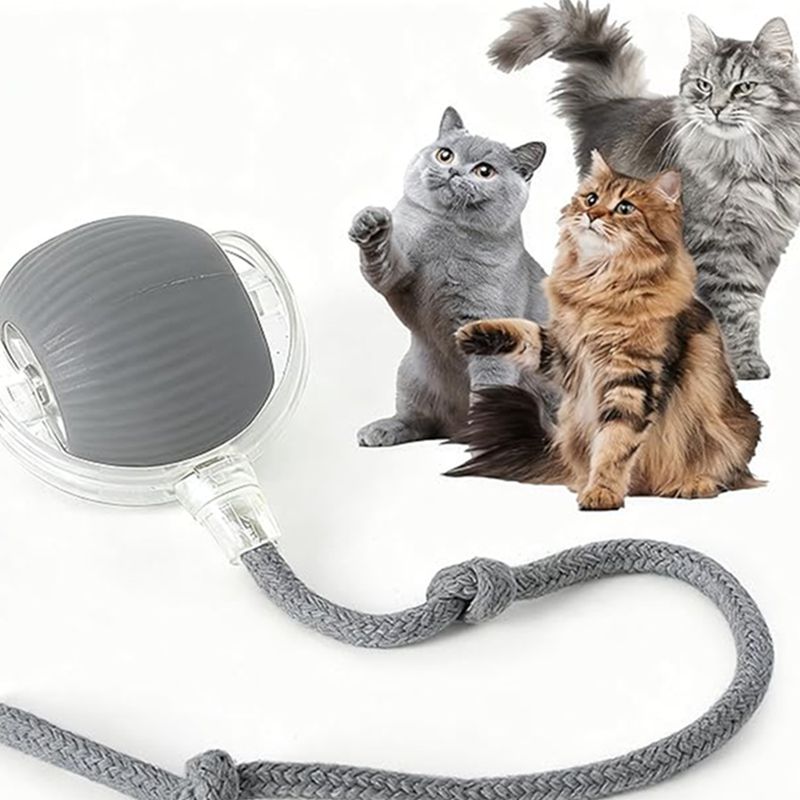 Smart Interactive Rolling Ball for Cats & Dogs
