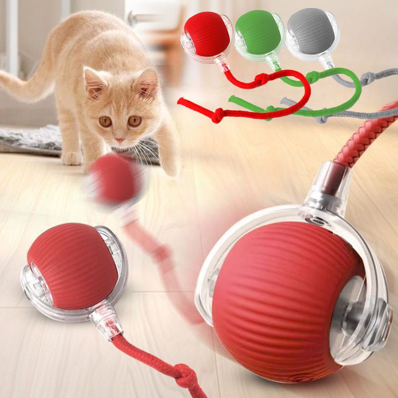 Smart Interactive Rolling Ball for Cats & Dogs