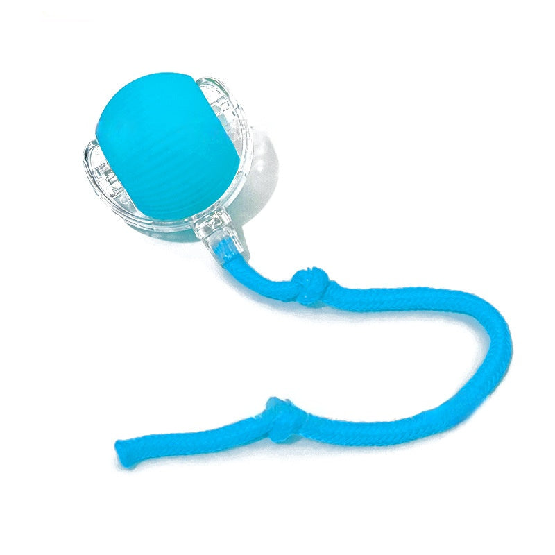 Smart Interactive Rolling Ball for Cats & Dogs