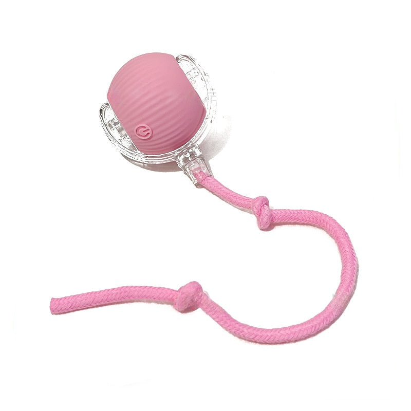 Smart Interactive Rolling Ball for Cats & Dogs