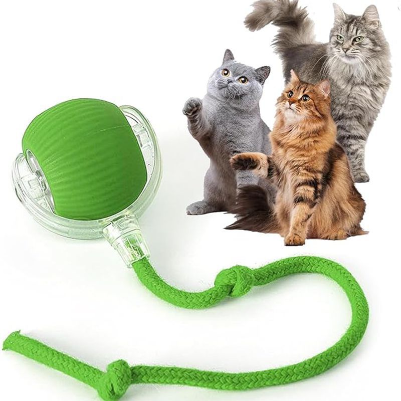 Smart Interactive Rolling Ball for Cats & Dogs